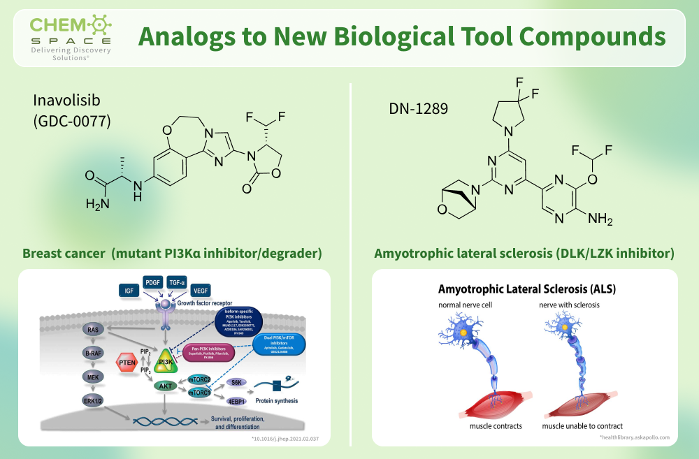 Analogs to New Biological Tool Compounds | Inavolisib (GDC-0077) | DN-1289